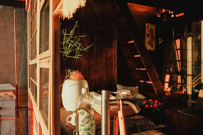 The Complete Acacia Wood Guide: Properties, Care, and Why It's Perfect for Your Kitchen