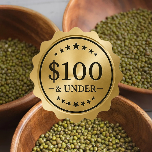 $100 & Under